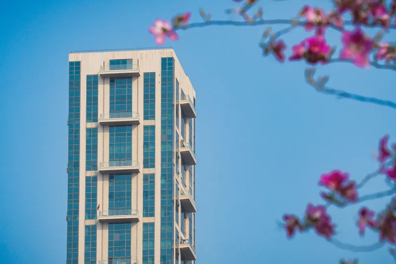 Buying Back a Piece of Home: Why More Indian-Americans Are Investing in Property in India